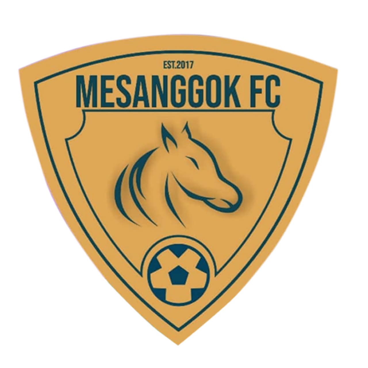 MESANGGOK FC